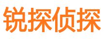 定安市私家侦探